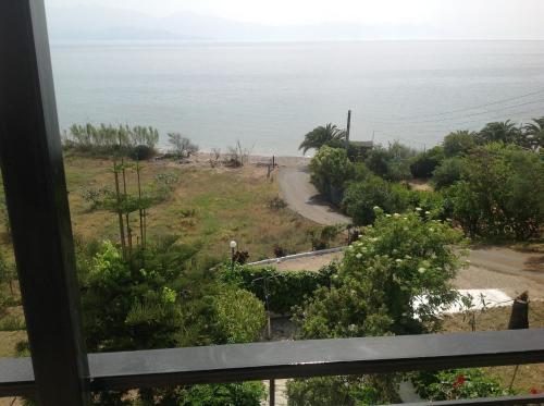 Villa Sofia - image 8