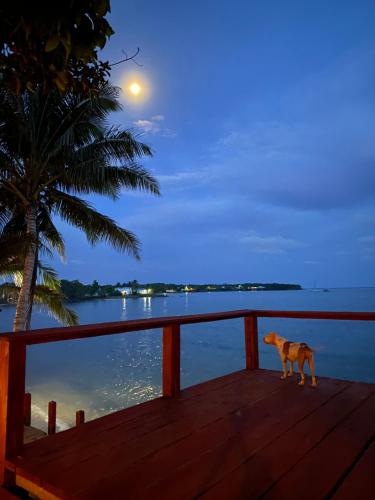 Las Palmeras OceanView Hotel and Dive Center in 小马伊斯群岛