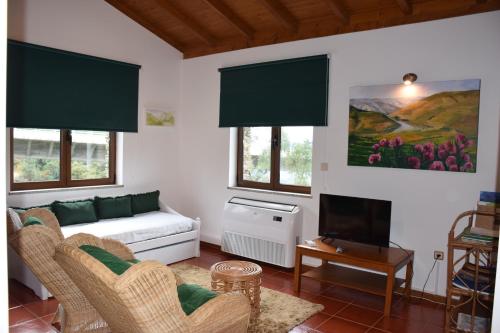 A Casa da Sofia, Vila Real (fotografie 5)