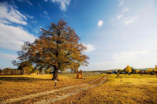 Country house Domik v derevne