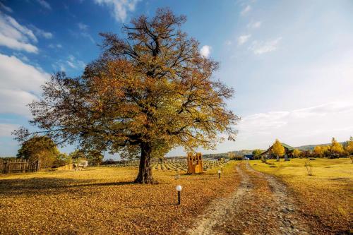 Country house Domik v derevne