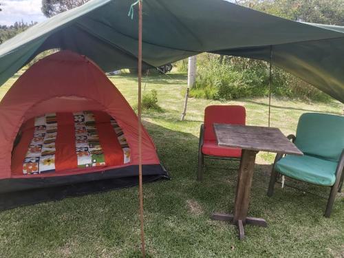 Hospedaje y Zona de Camping Pistacho in Villa De Leyva