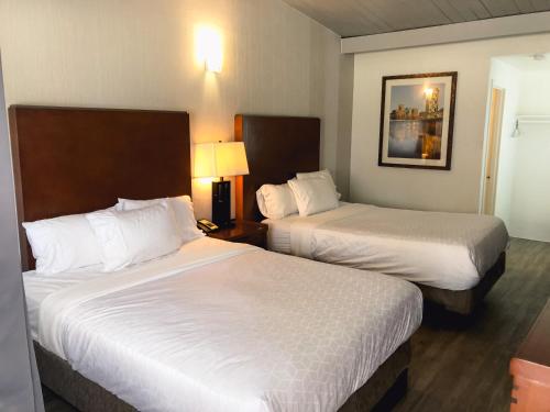 Super 8 by Wyndham San Jose Airport in San Jose City Center