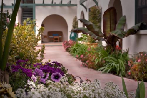 1906 Lodge, San Diego (zdjęcie 5)