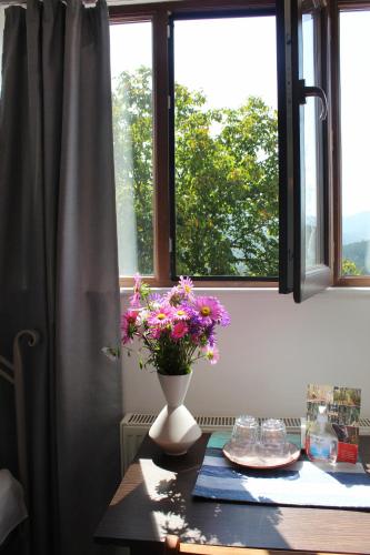 Kilátás, Toon Armeni Guest House in Dilijan