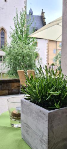Hotel Aspethera - image 6