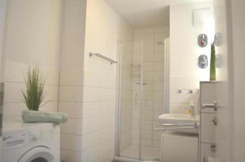 One-Bedroom Apartment with Terrace image 8