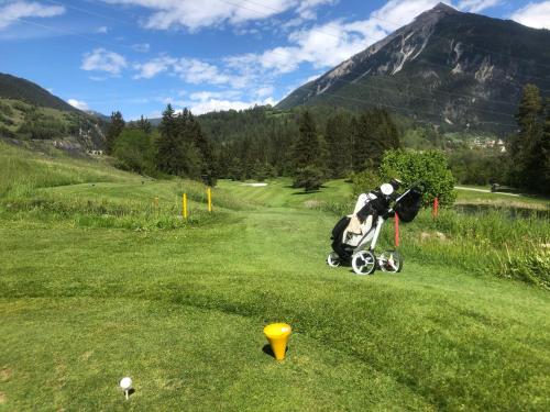 Boutique-Hotel Garni Bellevue Davos Wiesen - 주변 환경