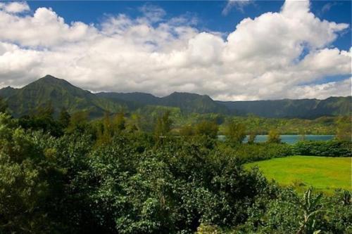 Hanalei Bay Resort 7302 - image 11