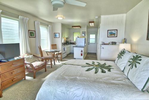 Kapa`a Sands 11 - image 11