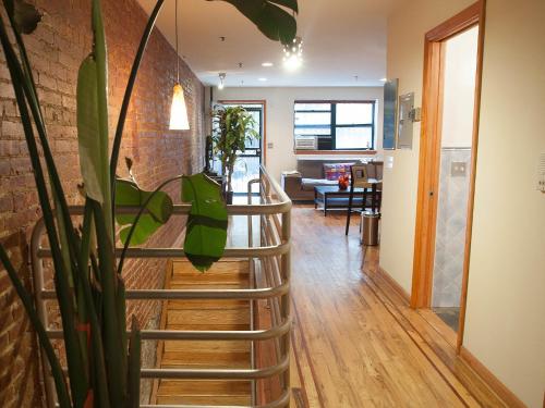 Apartment Douglas-2 - image 12