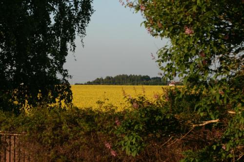 Lilla Huset på Slätten B&B - image 3
