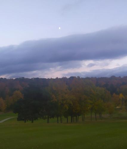 Wood, Wine & Golf