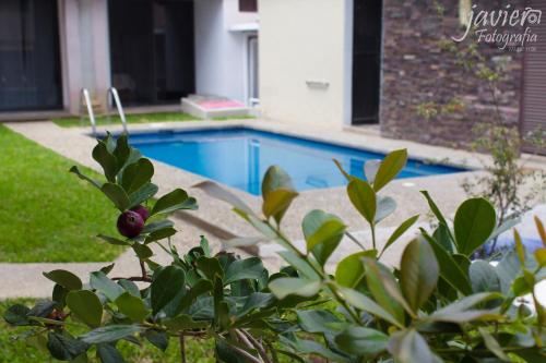 LOFTS en Cuernavaca con alberca climatizada