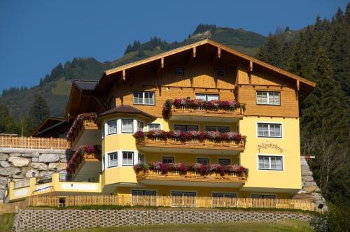 Appartement Alpenstern in Großarl, Österreich