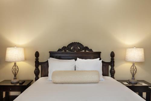 331023557 Hotel la Perla Leon