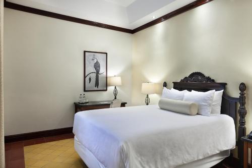 331023567 Hotel la Perla Leon