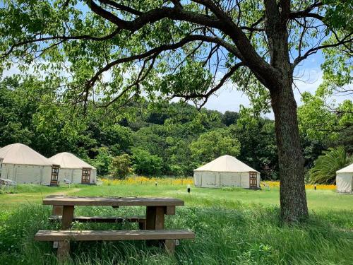 Pemandangan luar, 直島町ふるさと海の家 つつじ荘 Seaside Stay Tsutsuji-so (直島町ふるさと海の家 つつじ荘 Seaside Stay Tsutsuji-so) in Naoshima