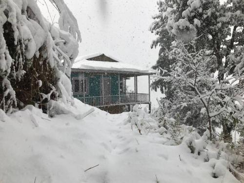 Quaint & Secluded Cottage in Wilderness