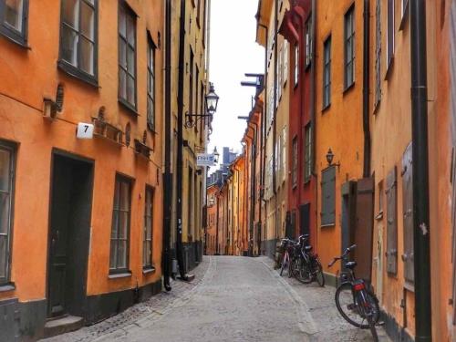 Cozy city apartment in heart of Sdermalm, Sztokholm (zdjęcie 9)