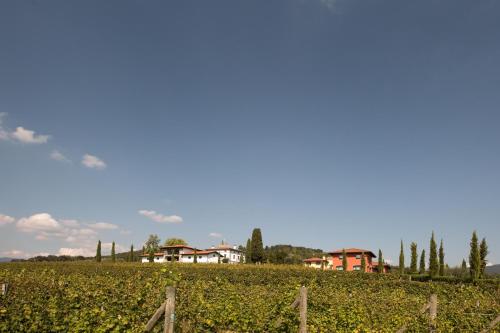 Il Roncal Wine Resort - image 11