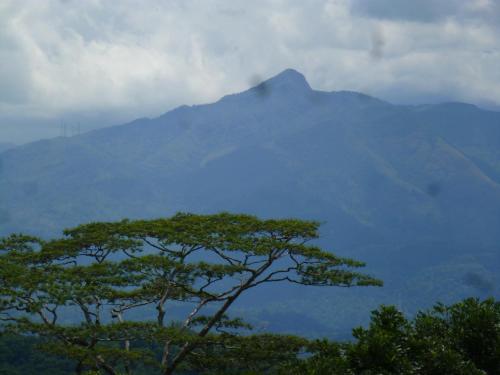 Hanthana Breeze Home Stay