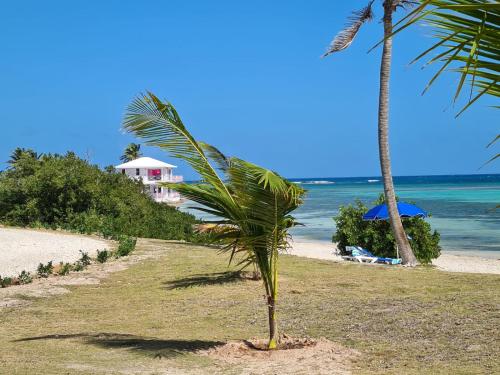 Coralito Bay Suites & Villas