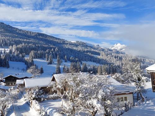 Hotel Gasthof Erbhof Anderlhof – Leogang, SD