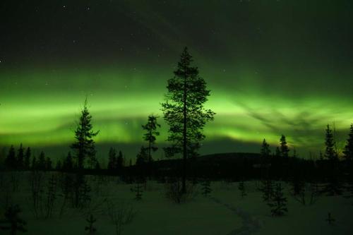 . House in the heart of Lapland P4