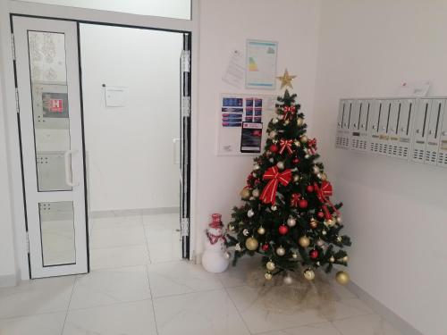 One-Bedroom Apartment image 1