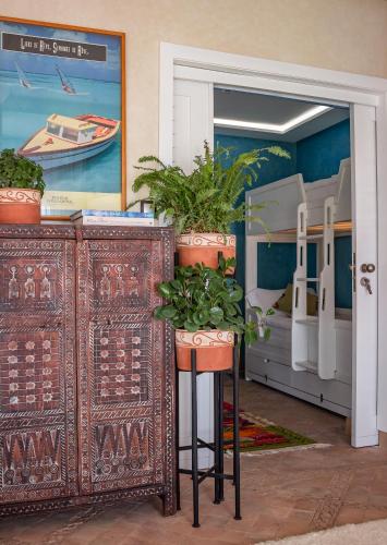 TEDDY PIRATE - Coliving in Taghazout