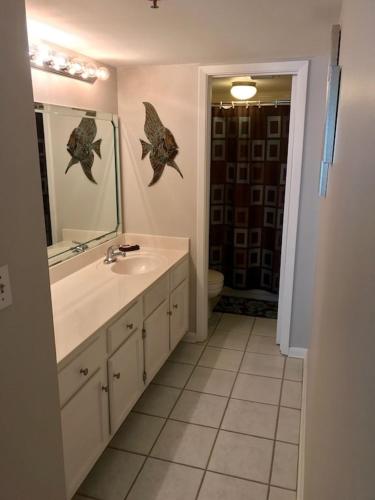 Phoenix I 1105 condo