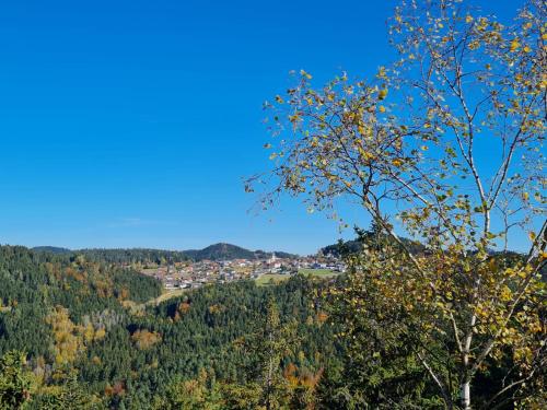 Gästehaus Weitblick