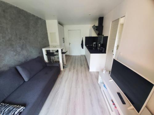 gedeelde lounge/tv-ruimte, Oasis des Grands Pins - Saint-Raphaël - Super Piscine & Tennis exceptionnel (Oasis des Grands Pins - Saint-Raphael - Super Piscine & Tennis exceptionnel) in Vallon de Coste