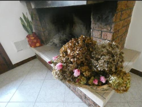 House Sole e Luna gîte à louer I Fondi