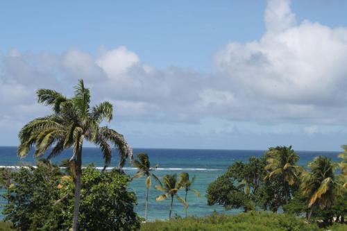 Surrounding environment, Residence Tropicale in Le Moule