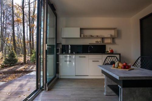 Konyha, Odpoczynek Domki Pod Dębem z Opcją Jacuzzi (Odpoczynek Domki Pod Debem z Opcja Jacuzzi) in Przyjmo