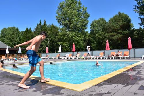 Lodges du Sancy