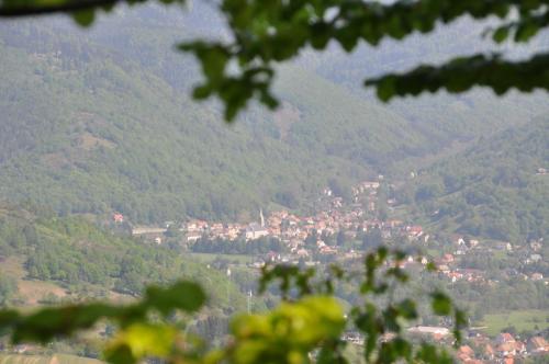 Appartement à Mitzach