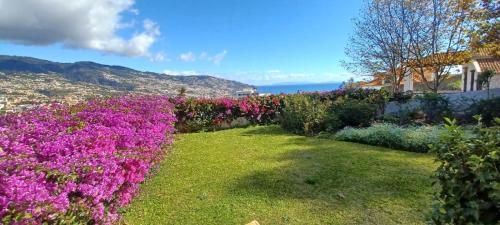Belvedere Boutique - Adults only Madeira Island