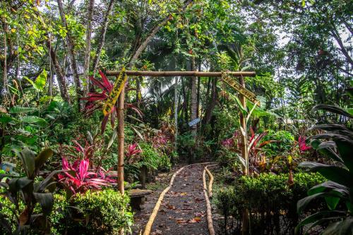 La Palapa Hut Nature Hostel