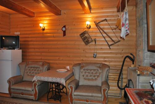 صالة مشتركة/ منطقة التلفزيون, Вілла Олекси in Skhidnytsya