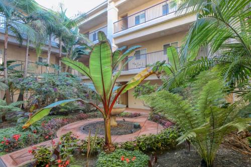 307 Casa Bella - image 11