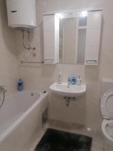 One-Bedroom Apartment image 6