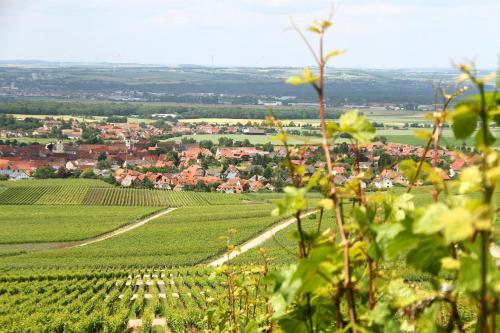 Gasthof zum Rödelseer Schwan - image 7