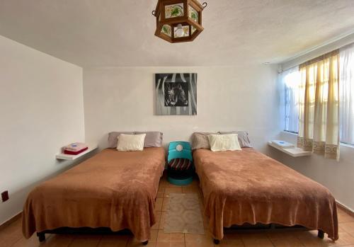 CASA ENTERA PURA VIDA! in Ciudad Hidalgo