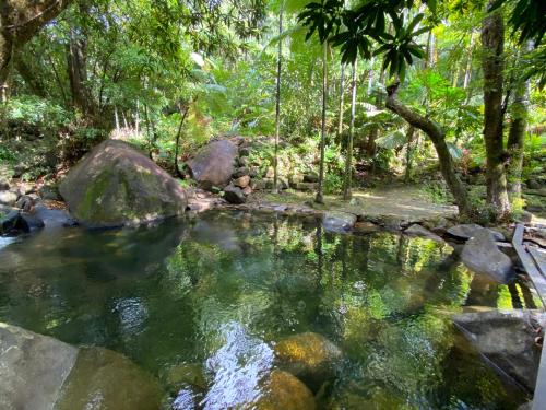 Daintree Secrets Rainforest Sanctuary