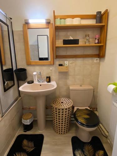 Appartement Esplanade, Štrasburk (fotografie 6)