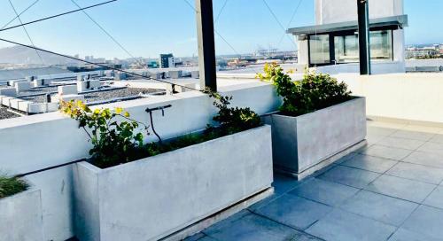Lovely open and sunny 2 bedroom apartment
