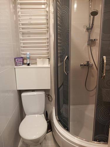 Apartament Łańcut (Apartament Lancut) in 蘭楚特